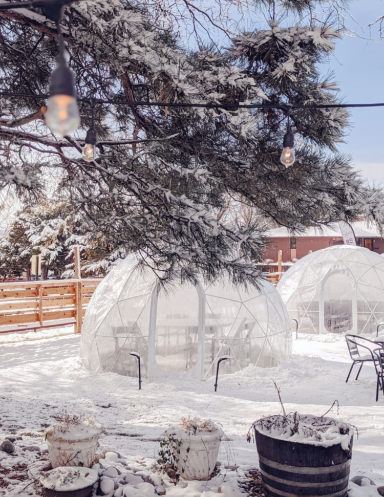 igloo+